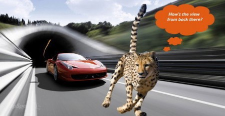 Познакомьтесь со зверем, которому под силу обогнать Ferrari Познакомьтесь со зверем, которому под силу обогнать Ferrari