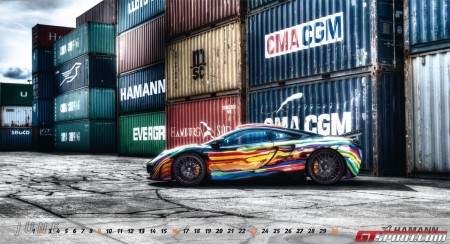 Hamann ��������� �������� ��������� �� 2013